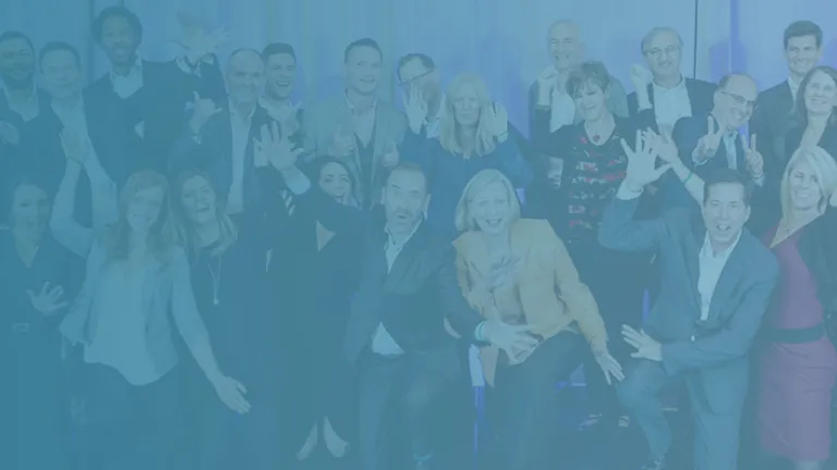 FOX Team